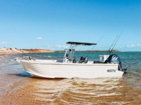 Boat in the water against the Shark Bay coastline