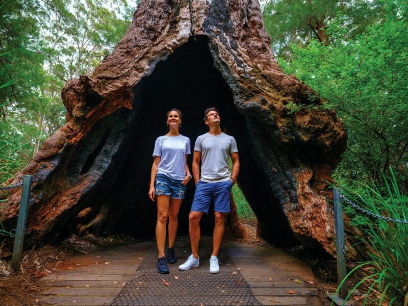 Walpole-Nornalup Visitor Centre, Walpole, Western Australia