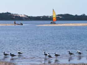 Australind, Western Australia