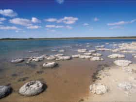 Cervantes, Western Australia