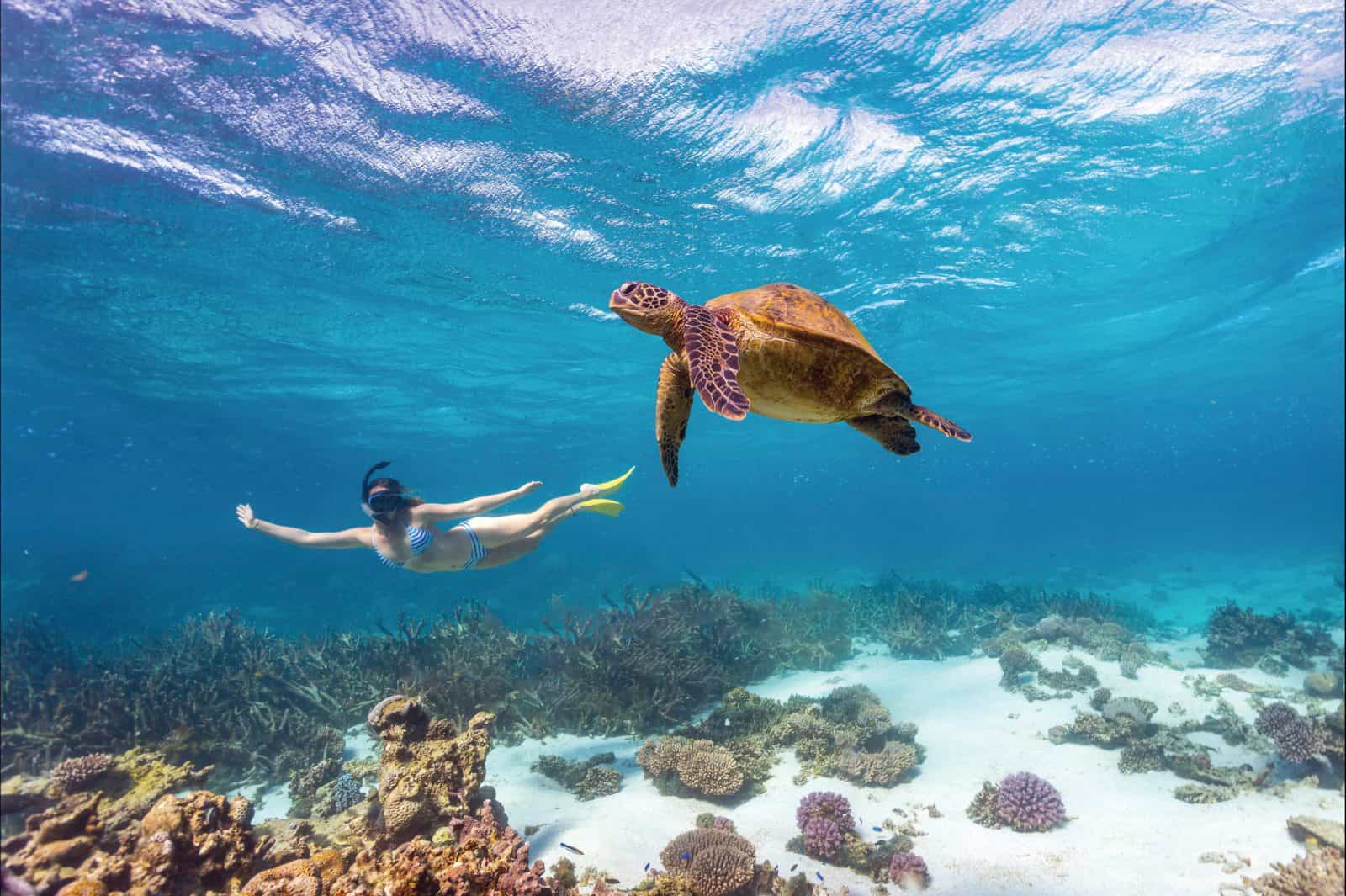 Coral Bay, Western Australia