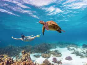 Coral Bay, Western Australia