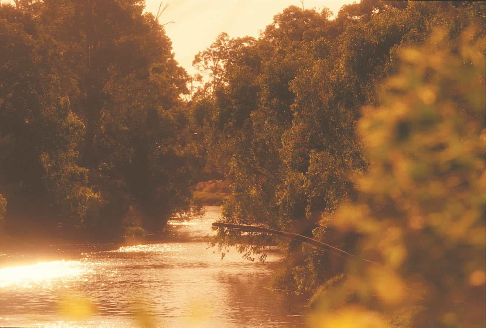 Donnybrook, Western Australia