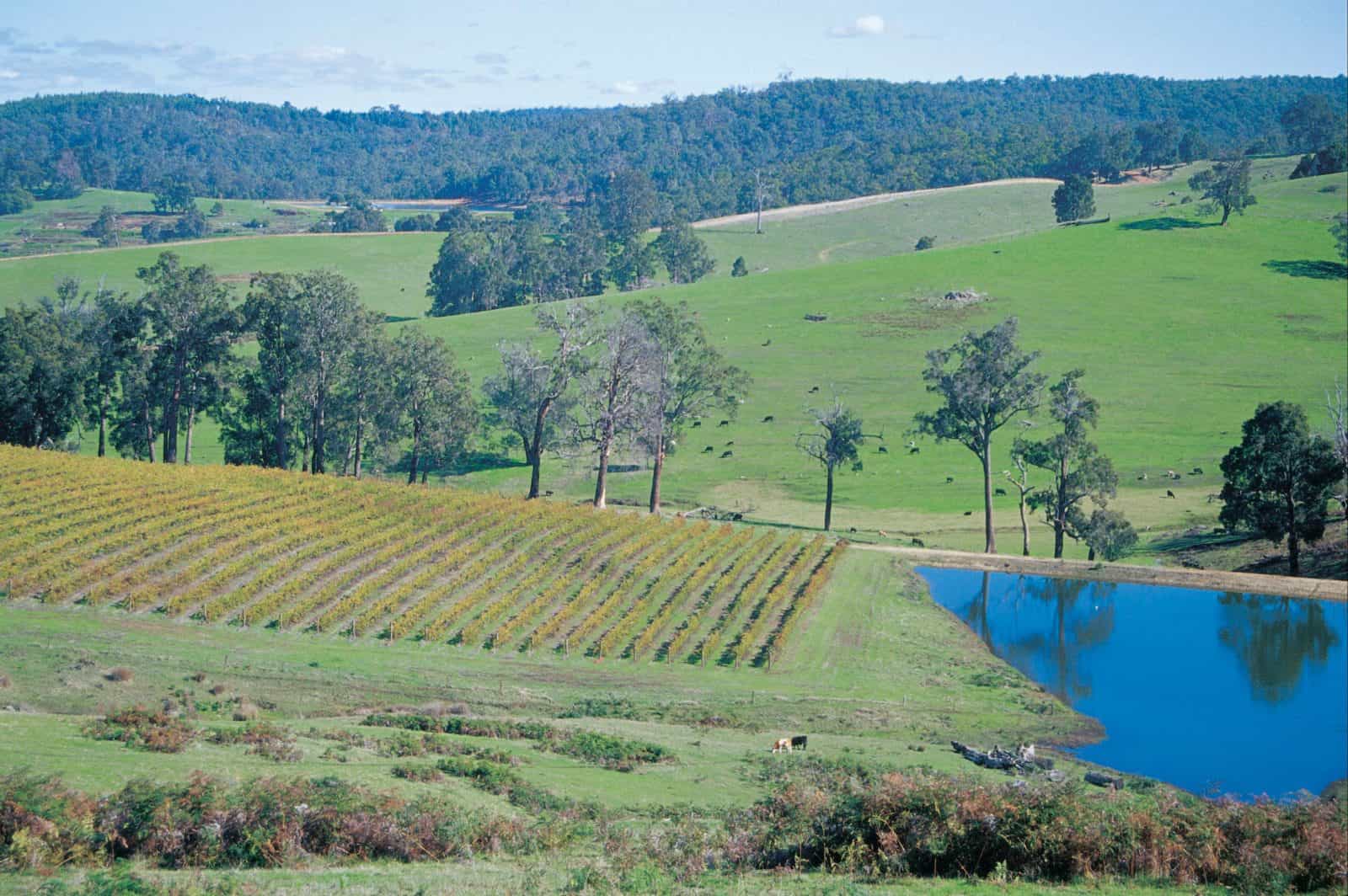 Farmlands in the Ferguson Valley