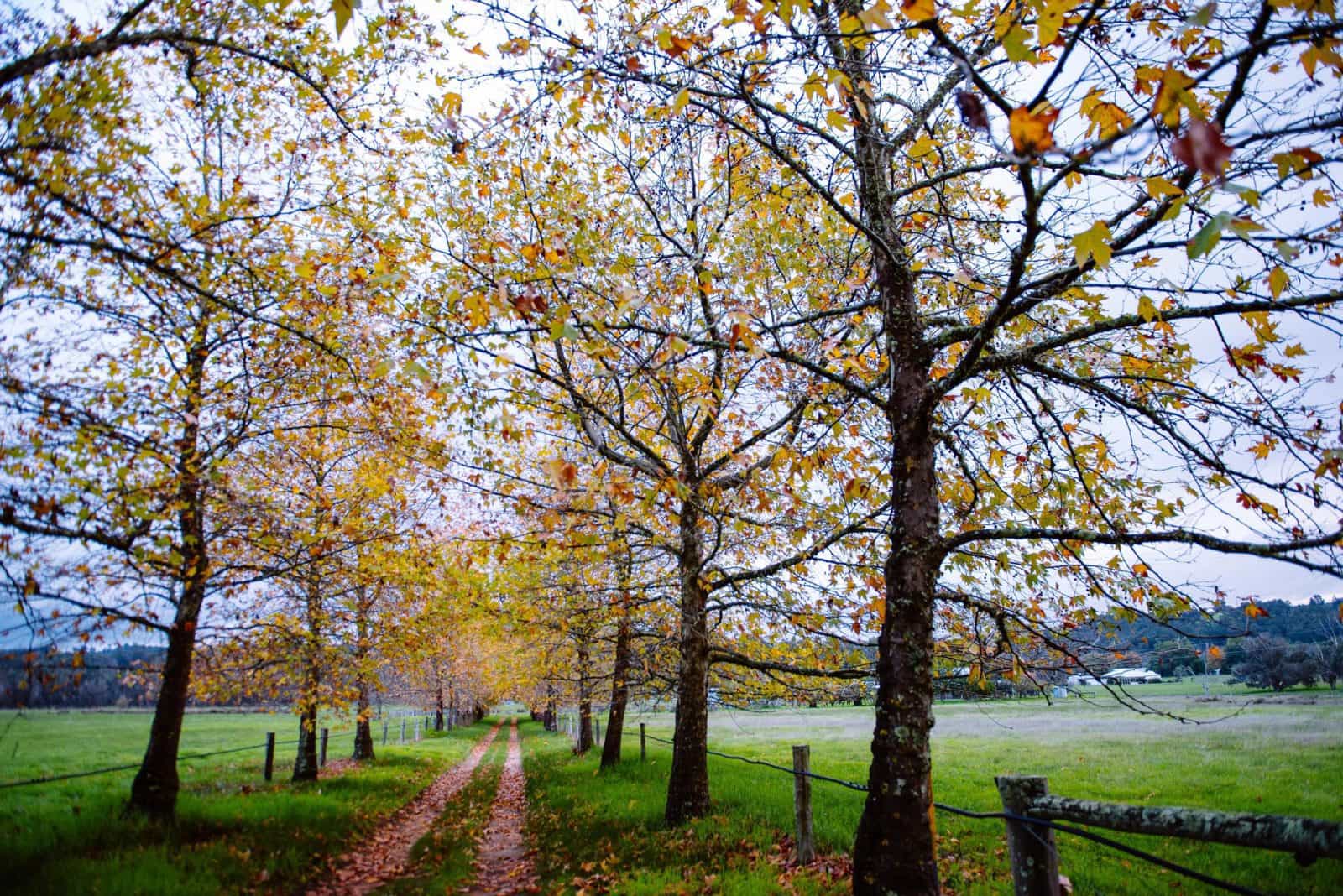 Ferguson Valley, Western Australia