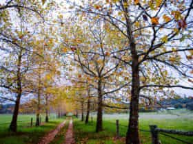 Ferguson Valley, Western Australia