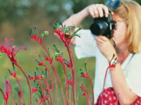 Gingin , Western Australia