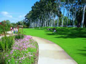 Kings Park, Western Australia