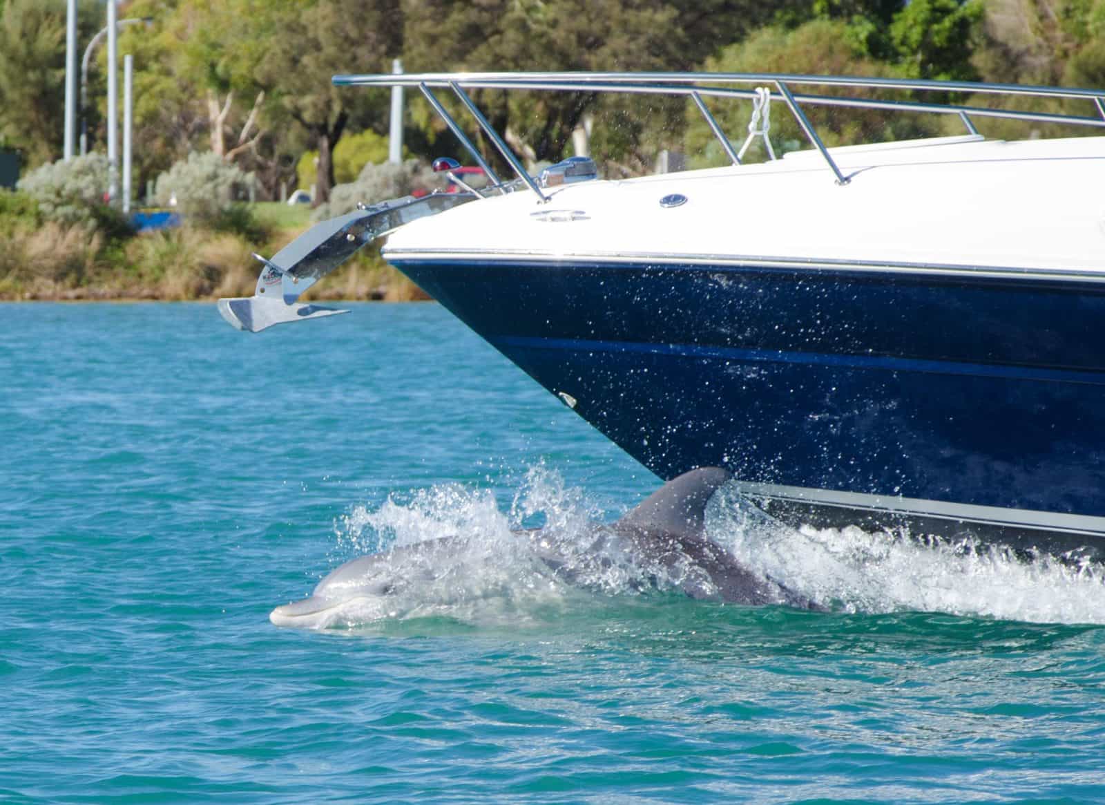 Mandurah, Western Australia