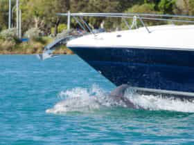 Mandurah, Western Australia