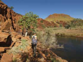 Millstream, Western Australia