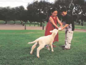 Mundijong, Western Australia