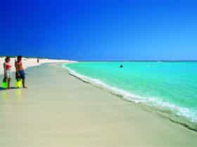 Ningaloo, Western Australia