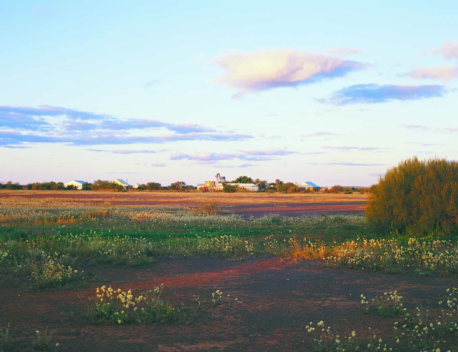 Paynes Find, Western Australia