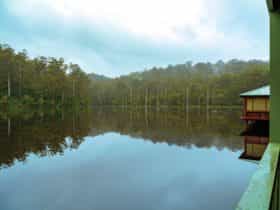 Pemberton, Western Australia