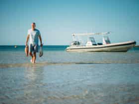 Shark Bay, Western Australia
