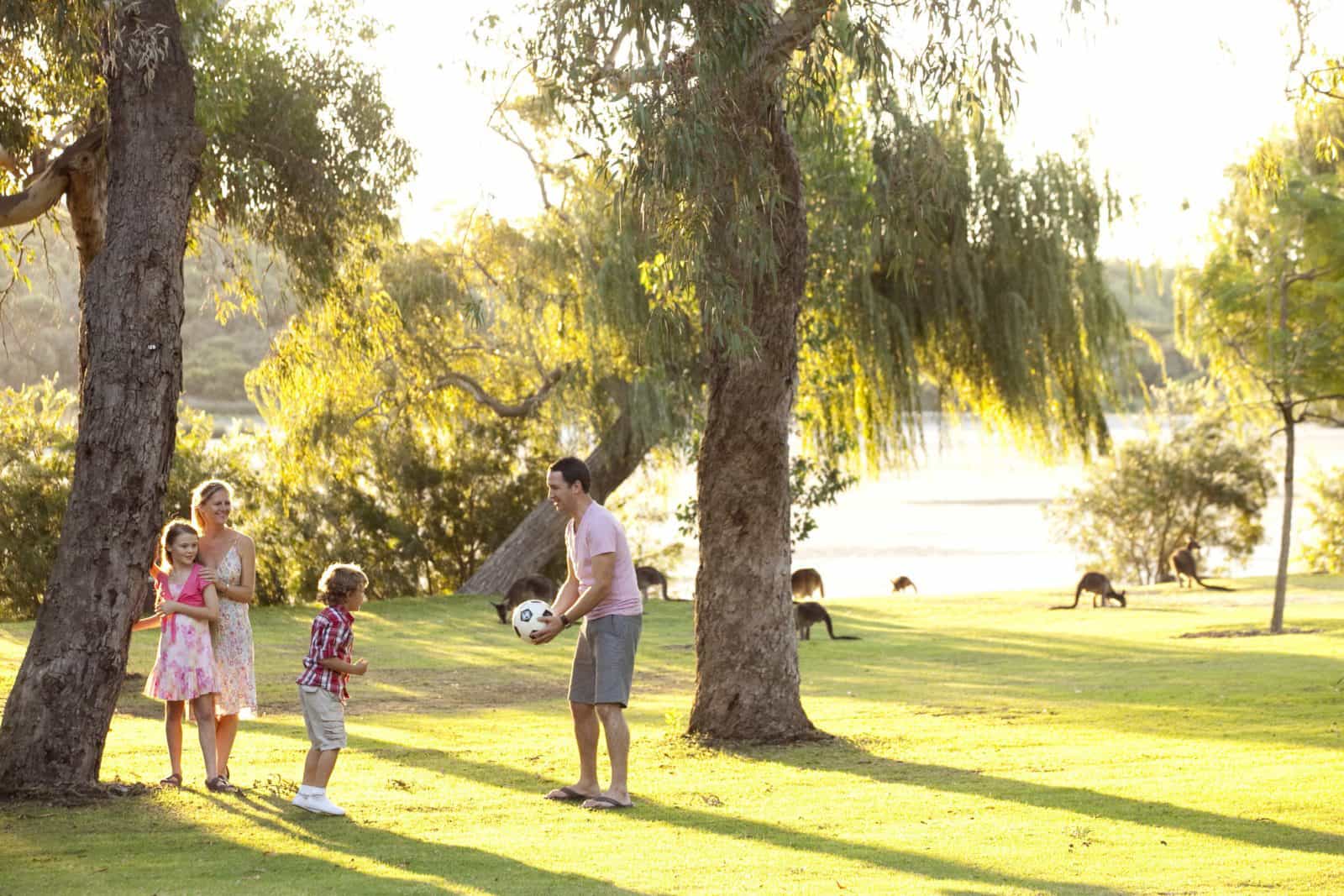 Yanchep 2011