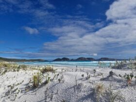 Sunshine over stunning Lucky Bay