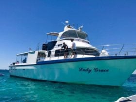 Lady Grace Apache Charters