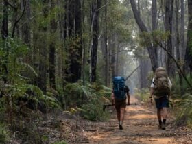 Two hikers hiking the Bibbulmun Track