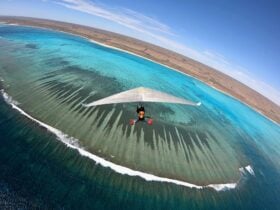 Get High on Ningaloo!