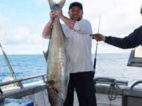 Black Jack Charters 1