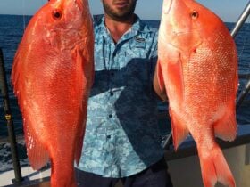 Blue Horizon Charters, Exmouth, Western Australia