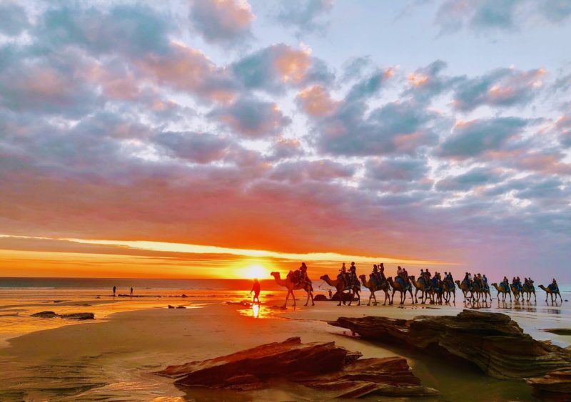 Broome Camel Safaris, Cable Beach, Western Australia