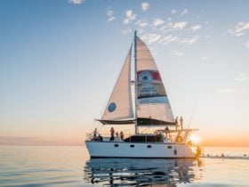 Ballena gliding through the water on a wondrous Broome sunset
