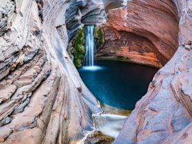 Casey Australia Tours, O'Connor, Western Australia