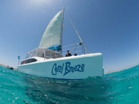 Coastal Adventure Tours, Coral Bay, Western Australia