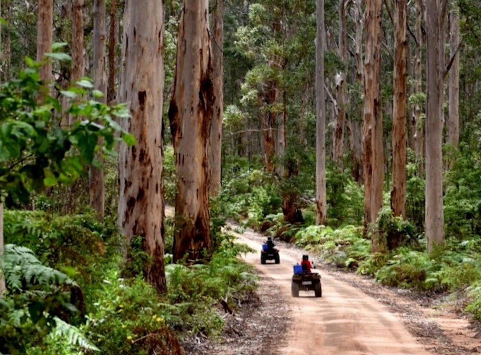 Ecoadventures, Margaret River, Western Australia