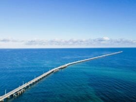 1hr Sightseeing Cruise