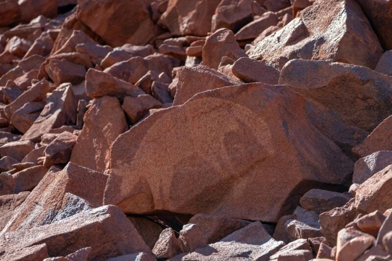 A large red rock with an etching of a fat-tailed kangaroo standing on all four legs