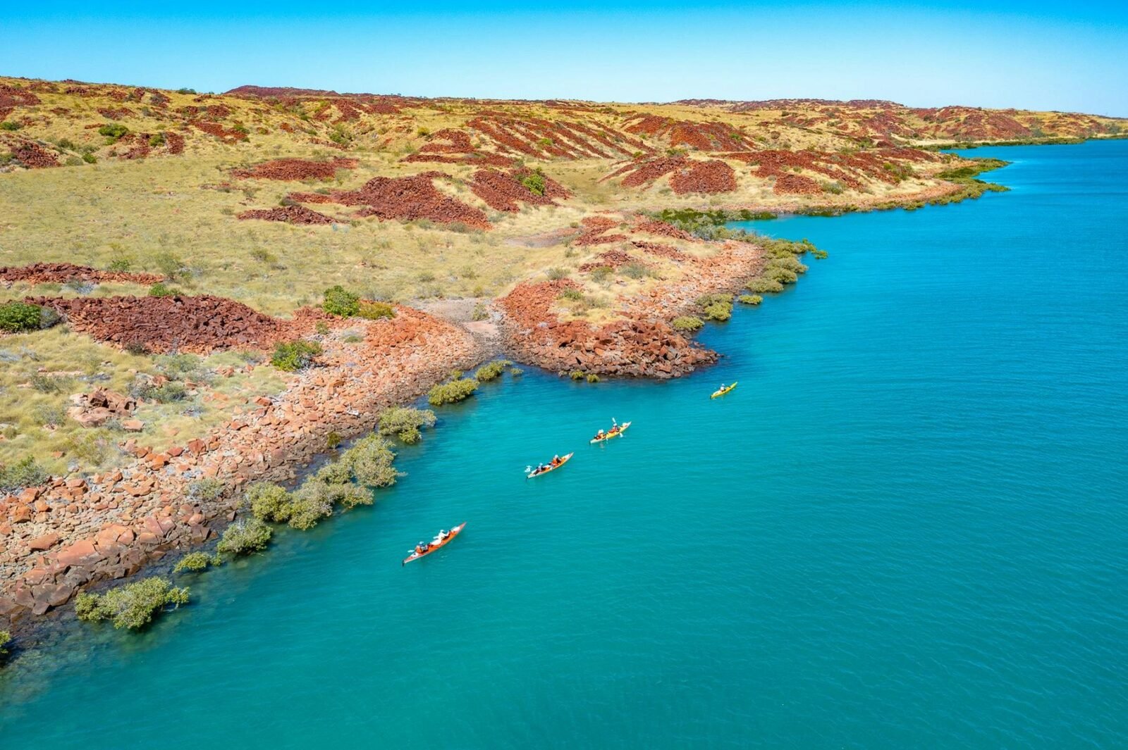 An aerial view with 4 kayaks in a line on blue water, along the coast with red rocks and mangroves