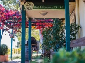 Harris Organic Wines, Baskerville, Western Australia
