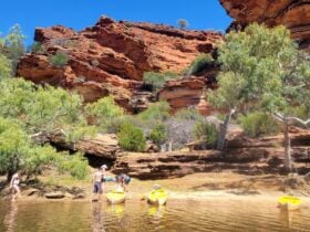 Join us to explore remote locations and get off the beaten track with Kalbarri Adventure Tours.