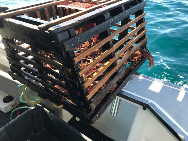 Kalbarri Rock Lobster Tours and Charter, Kalbarri, Western Australia