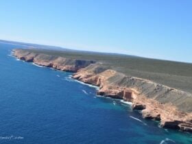 Kalbarri Scenic Flights, Kalbarri, Western Australia