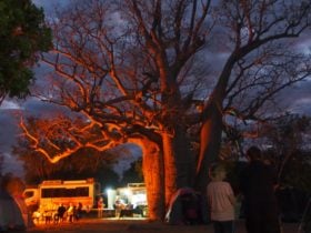 Kimberley Safari Tours, Kimberley, Western Australia