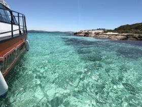 King George Sound Safari, Albany, Western Australia