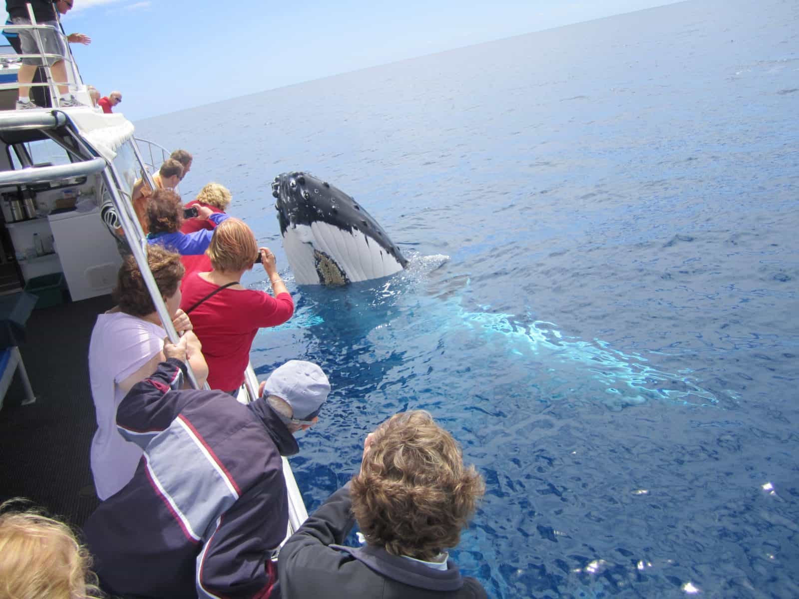 Legend Charters, Perth, Western Australia