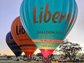 Hot air balloons lined up on the ground, ready to lift off for a scenic flight