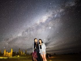 Star Filled Sky over the Pinnacles Desert