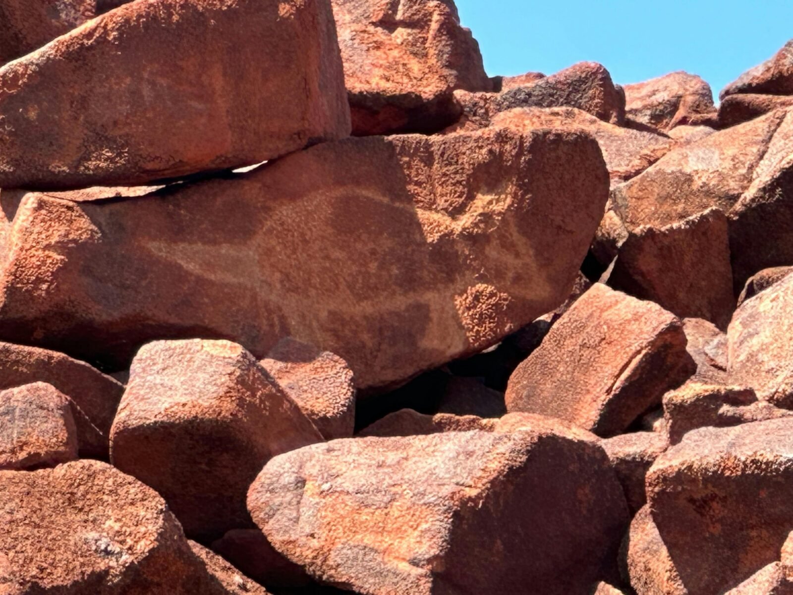 Petroglyph of a Quoll at Ngajarli in Murujuga National Park