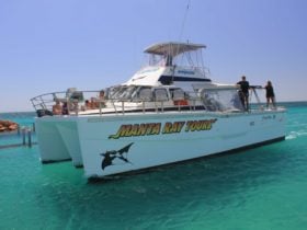 Ningaloo Coral Bay Boats, Coral Bay, Western Australia