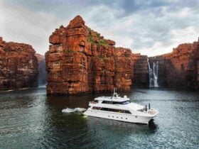 Ocean Dream Charters