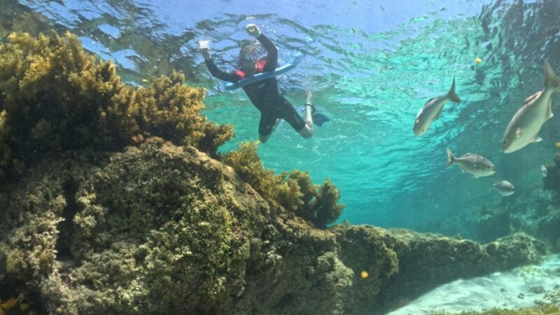 Busselton Jetty Underwater