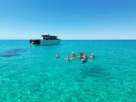 A group of people snorkeling from a boat