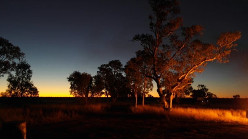 Otto Tours, Gosnells, Western Australia